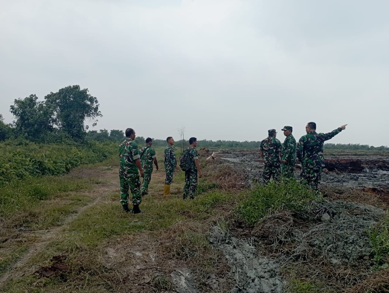 Mabes TNI Tinjau Lahan Bekas Karhutla di Rokan Hilir